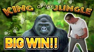 BIG WIN! KING OF THE JUNGLE BIG WIN - €60 BET on Casino game from Casinodaddy LIVE STREAM