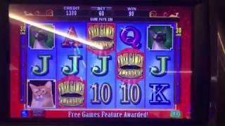 Kitty Glitter Bonus Round Free Games Win at Lodge Casino