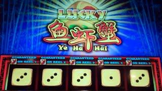 Lucky Ye Ha Hai Slot Machine Bonus - 8 Free Games w/ Locked Symbols & Multipliers - Nice Win