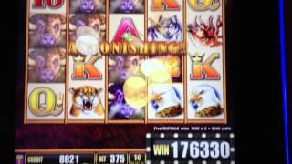 Buffalo Stampede Line Hit #3 At Max Bet-jackpot!