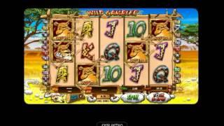 Wild Gambler - Intro - William Hill VEGAS