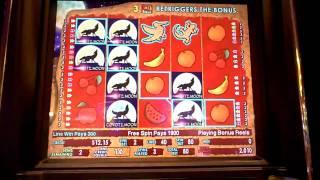 Coyote Moon a IGT slot machine bonus win at Sands Casino