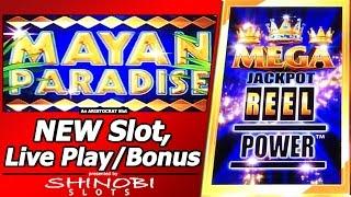 Mayan Paradise Slot - Live Play, Features and Free Spins in New Mega Jackpot Reel Power game