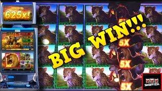 New Slot Alert! LIVE PLAY and Big Wins on Big Safari 5 Slot Machine