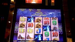 Timber Wolf slot machine bonus win at Parx casino.
