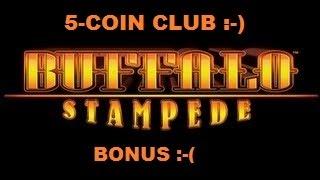 BUFFALO STAMPEDE | The Chick's 5-Coin Club & The Dick's Bonus w/re-triggers
