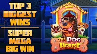 Top 3 biggest wins in June - Epic win. The Dog House slots