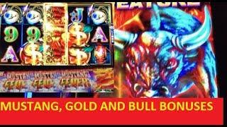 I HAVE A MUSTANG FEVER AGAIN WITH GOLD AND BULL!!!! SLOT & POKIES!!!