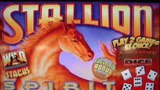 Multimedia - Stallion Spirit : Bonus on a $1.60 bet