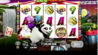 Panda Mania spillemaskine: 33 gratis spins hos Tivoli Casino