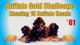 Buffalo Gold Challenge - Chasing 15 Buffalo Heads #61