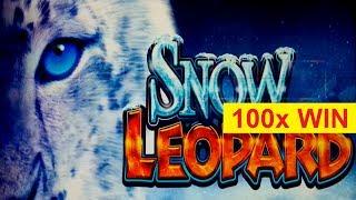 Snow Leopard Slot - 100x BIG WIN - SHORT & SWEET!