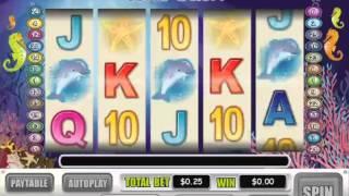 Coral Cash Slot Machine At Intertops Casino