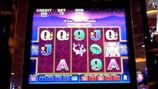 Tiger Lily slot machine bonus win at Parx Casino