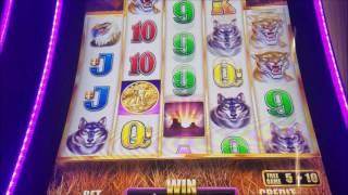 Buffalo Grand Bonus Winstar Casino
