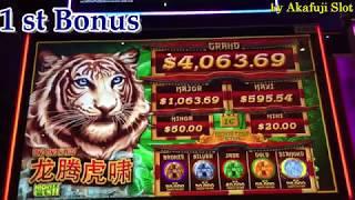 BIG WIN•Lomg Teng Hu XIAO (MIGHTY CASH) New Slot machine First Attempt