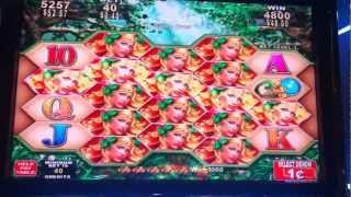 Konami - Fairy Blossom Slot Machine Win - Rio Casino Las Vegas, NV