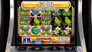 JUNGLE WILD Video Slot Casino Game with a "BIG WIN"