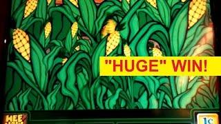 Hee Haw Slot - "HUGE" Win Country Cash Bonus!