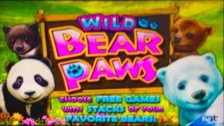 IGT Wild Bear Paws Slot Machine - Live Play & Bonus (fail)