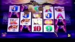 Buffalo Slot Machine Bonus Huge Win 5 cent