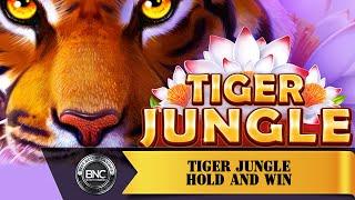 Tiger Jungle Hold and Win slot by Booongo