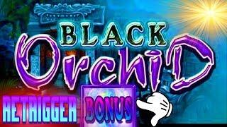•BLACK ORCHID•RETRIGGER BONUS• WIN AT SEA•BRILLIANCE OF THE SEAS!!