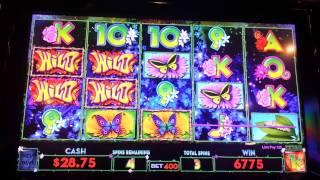 Wild Butterfly Slot. Free Spin Max Bex.