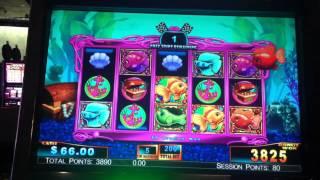 Goldfish Race for the Gold Slot Machine Bonus - Free Spins - Big Win!