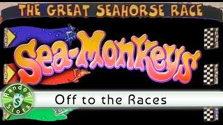 Sea Monkeys slot machine, Racing Bonus