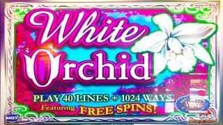 White Orchid slot machine, DBG