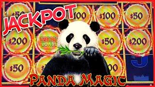 HIGH LIMIT DRAGON LINK PANDA MAGIC Handpay Jackpot ⋆ Slots ⋆ $50 MAX BET Bonus Rounds Slot Machine C