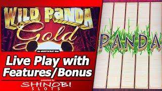 Wild Panda Gold Slot - Live Play with Line Hits and Free Spins Bonus