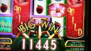 Wizard Of Oz Ruby Slippers Slot Machine Big Win