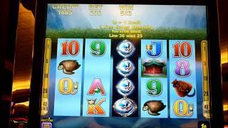 Wild Splash Slot Machine Bonus Win (queenslots)