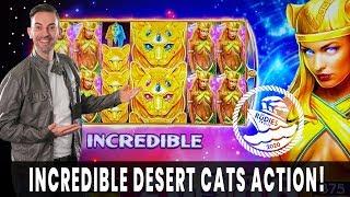 ★ Slots ★ Desert Cats Bring the HEAT ★ Slots ★ All Aboard the RUDIES CRUISE! ★ Slots ★ BCSlots
