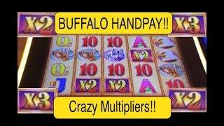 Really fun HANDPAY win on buffalo gold slot