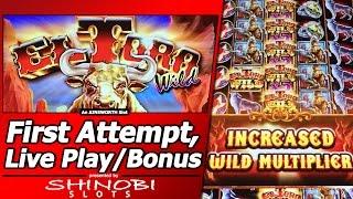 El Toro Wild Slot - First Attempt,  Live Play and Free Spins Bonus with Re-Trigger and Multipliers