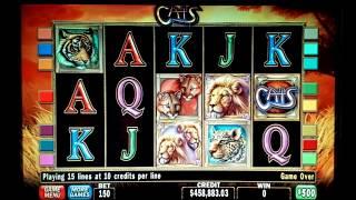 Cats High Limit Slot Play Jackpot time!