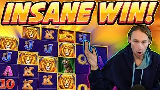 INSANE WIN! Safari Gold BIG WIN - Casino Games from Casinodaddy live stream