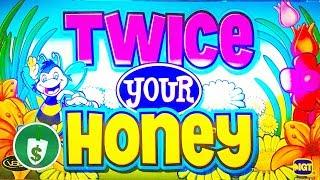Twice Your Honey slot machine