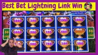 •Best Bet-Lightning Link Win•