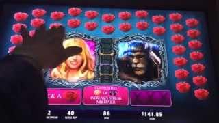 Belle Enchanted Mirrors Slot Machine Bonus-Good Win!