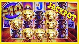 Ruby's BUFFALO GOLD JACKPOT • To the TOP of WONDER 4 TALL FORTUNES with EZ Life Slot Jackpots