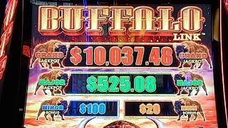 LiVe! Buffalo Link Slot Machine Horseshoe Casino