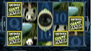 Untamed Giant Panda Slot  Freespin Feature Big Win 277x Bet