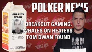 Polkernews - This Week On 2+2: Breakout Gaming, Whales On Heaters, Tom Dwan Found