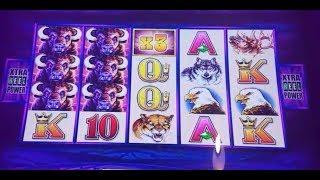 •ONLY BONUSES• When Slot Machines Don't Want To Pay! Gold Panda,Buffalo,Wicked Winnings & Wild Panda