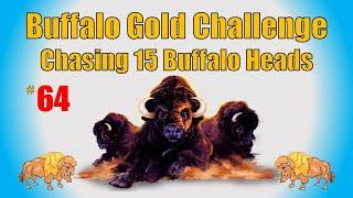 Buffalo Gold Challenge - Chasing 15 Buffalo Heads #64