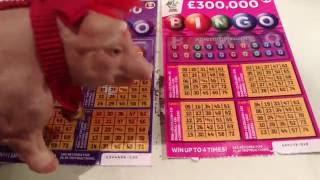 Scratchcard Battle of Pink & Purple Bingo's & Millionaire Riches....with Piggy